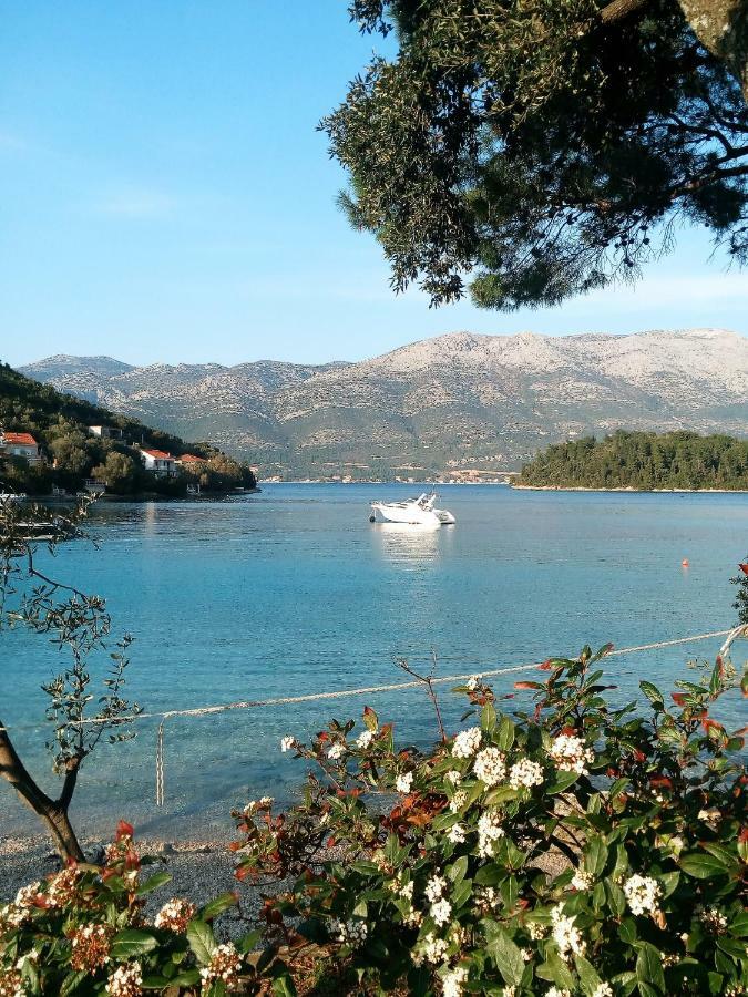Apartments Milea Korčula Eksteriør billede